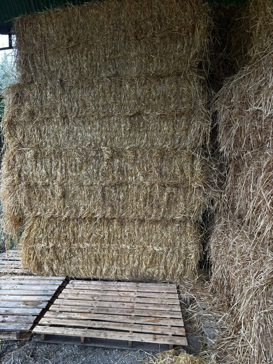 Wheaten straw - Image 3