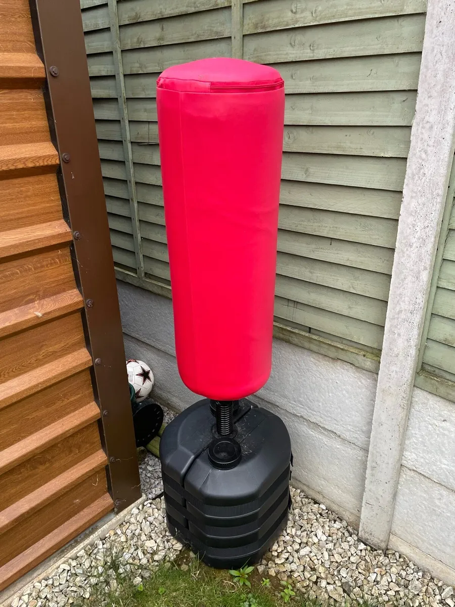 Boxing Punch Bag & Gloves - Image 1