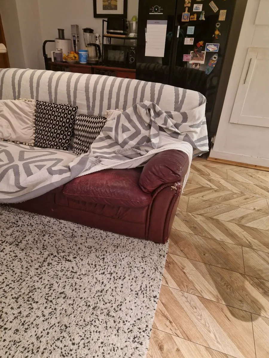 3  Siter Sofa for Sales + carpet - Image 2