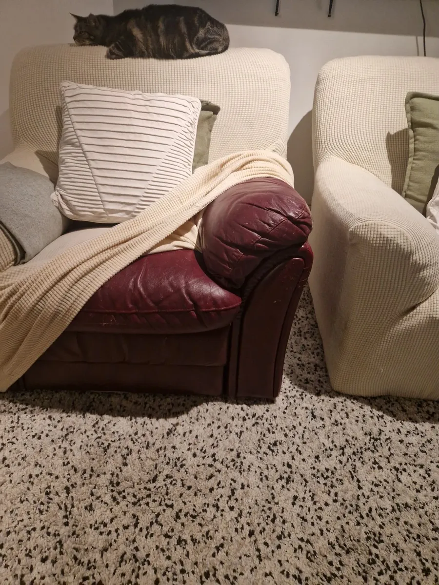 2 Large Armchairs – Extendable/Reclining – Covers - Image 1