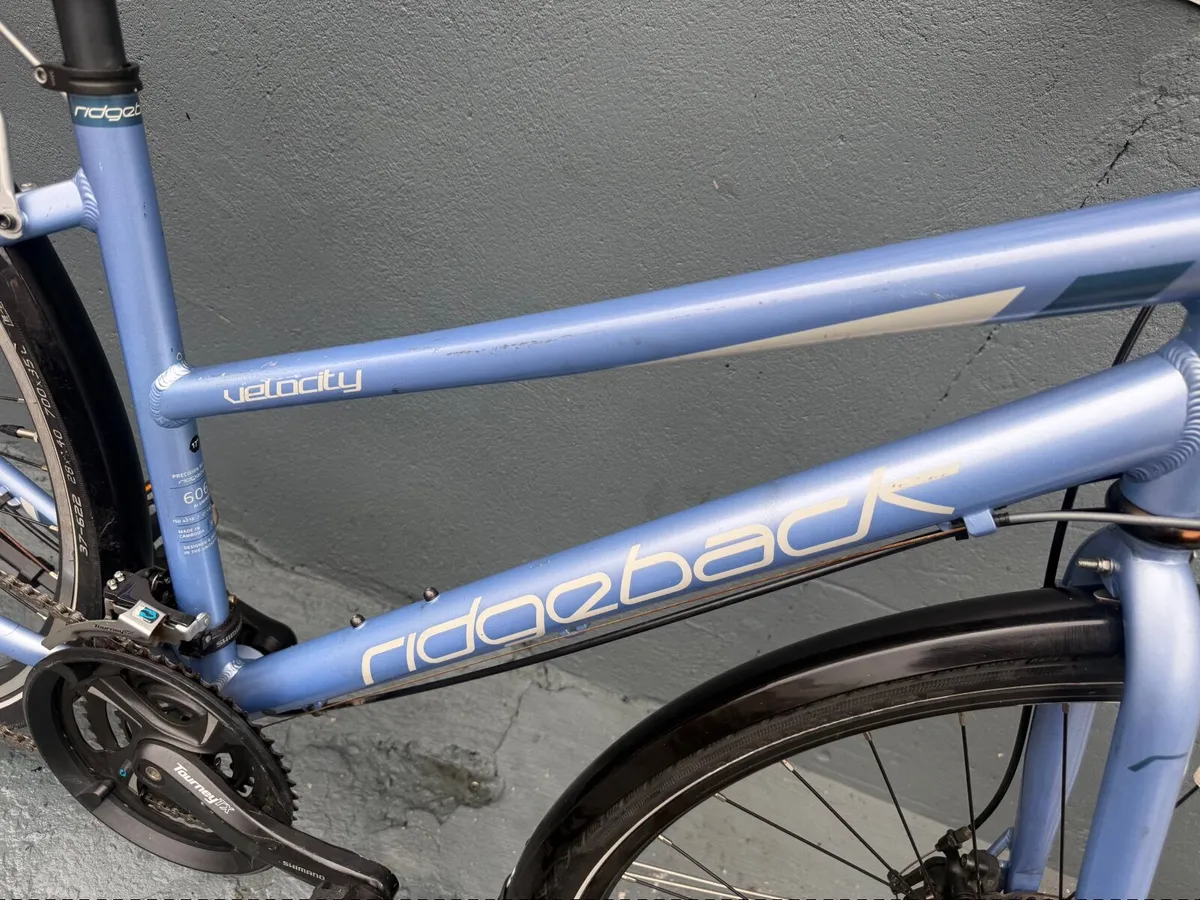 Ridgeback Velocity ❗️Open 7 days of the week ❗️ - Image 4