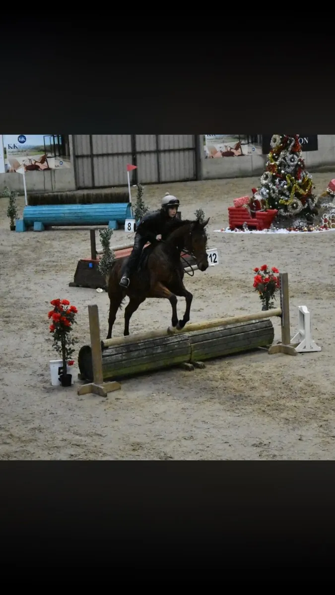 Horses - Image 2
