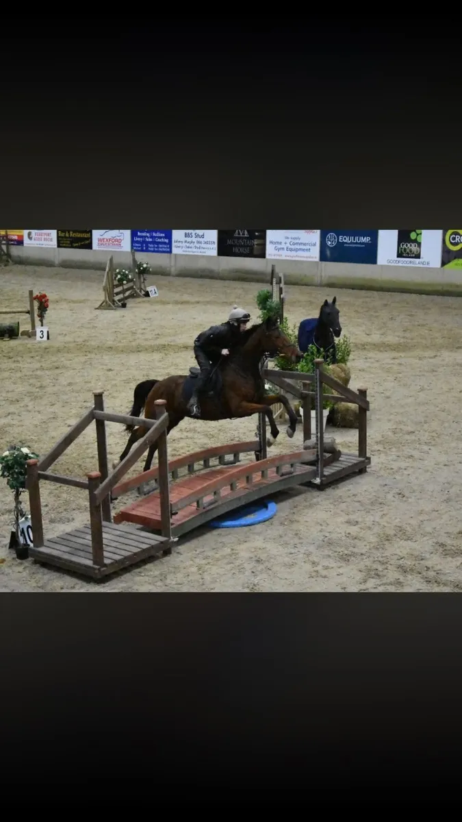 Horses - Image 3
