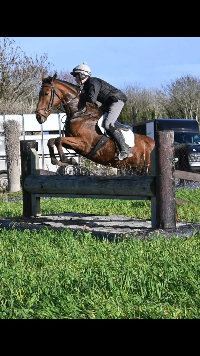 Horses - Image 4