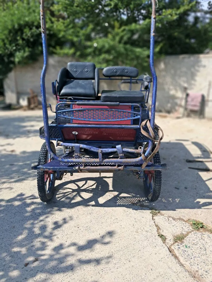 Dutch carriage - Image 2