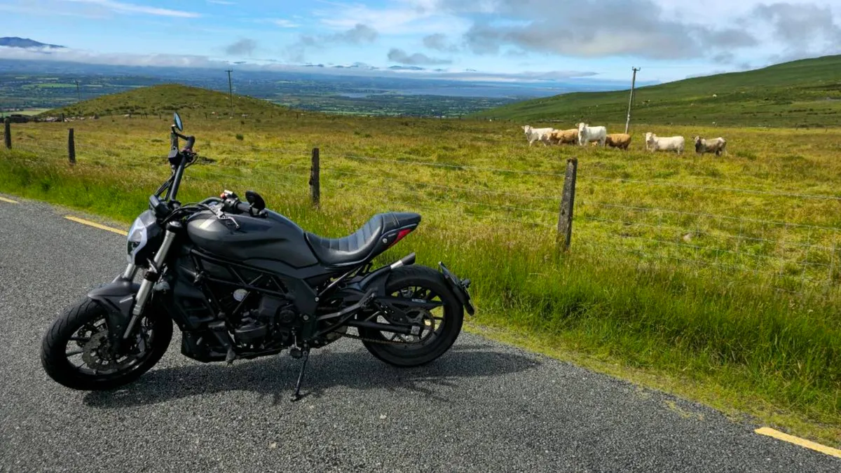 Benelli 502c 2020 - Image 2