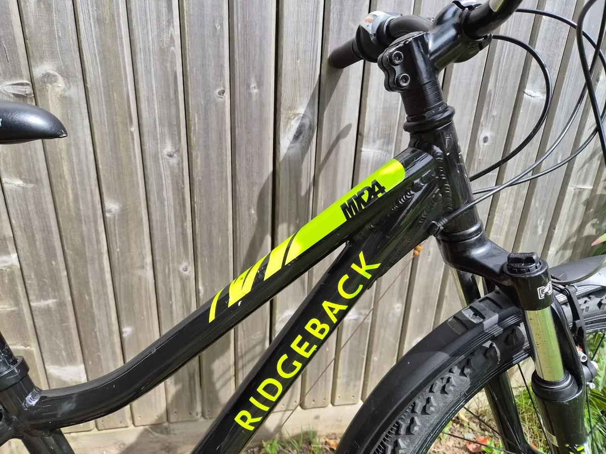 Ridgeback MX 24 - Image 2