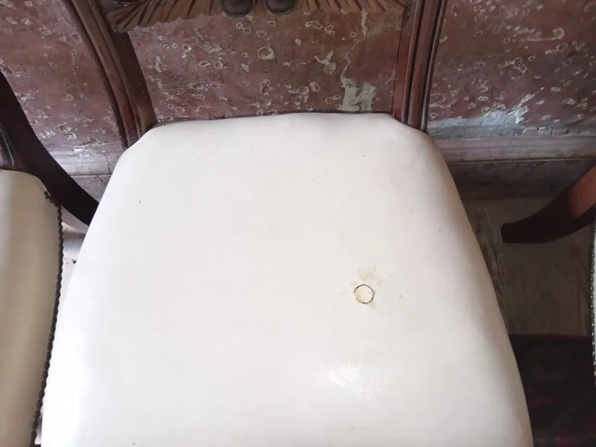 Set of 6 George IV antique Dining Chairs - Image 3