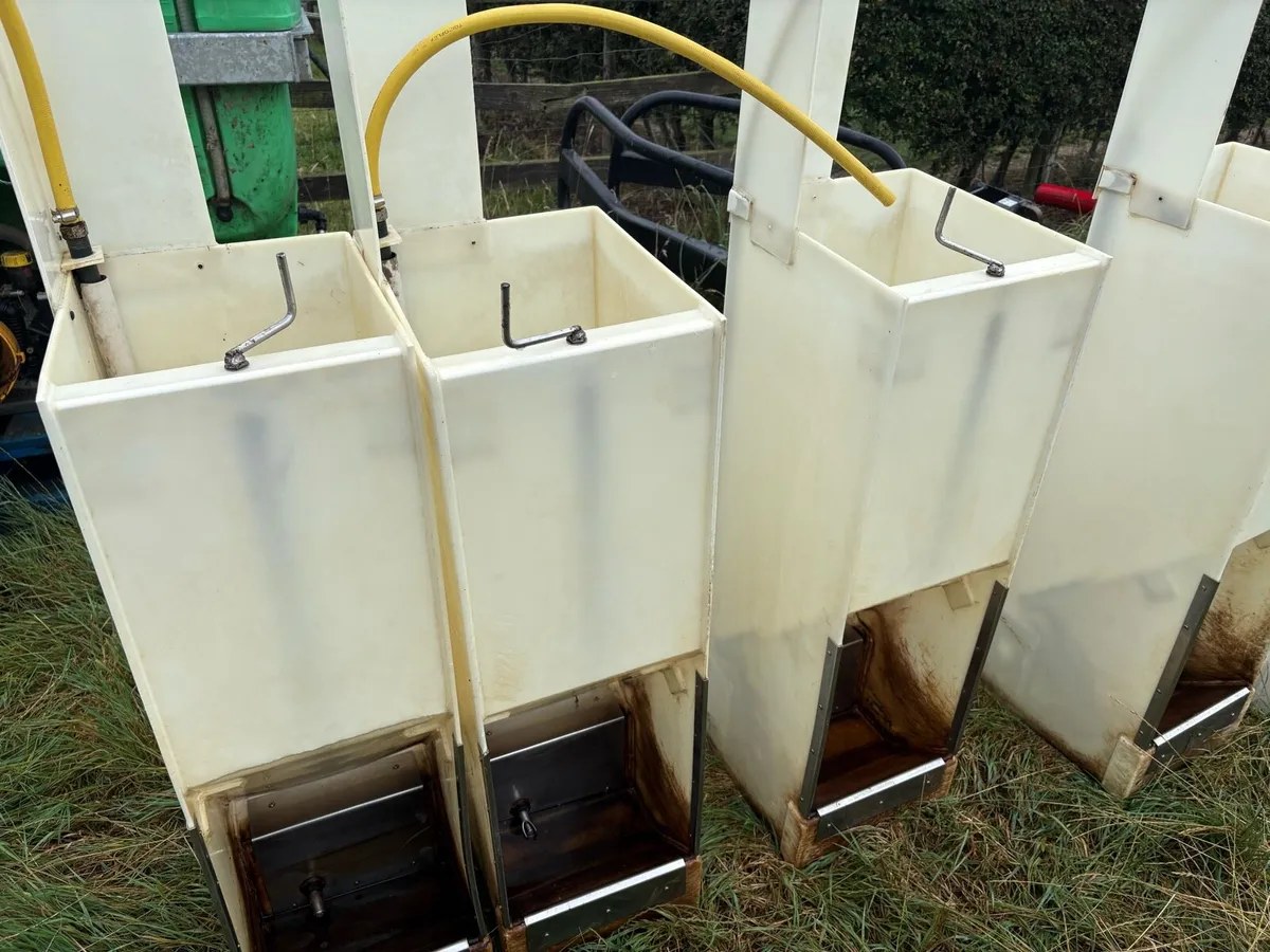 * Dry And Wet Pig Feeders • - Image 2