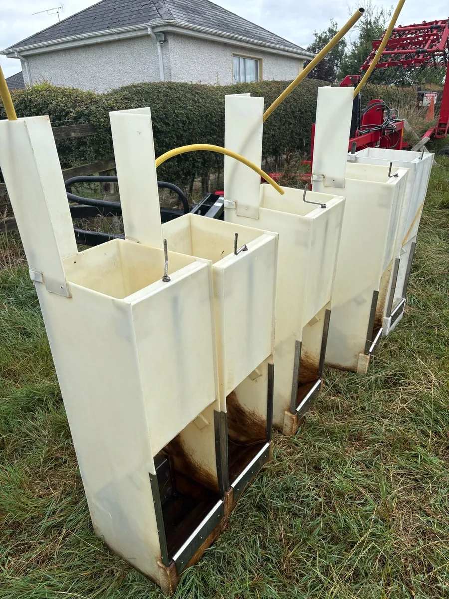 * Dry And Wet Pig Feeders • - Image 3