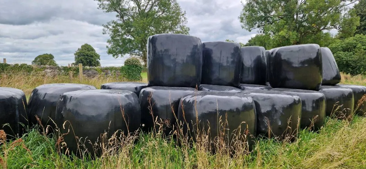 Bales of silage - Image 3