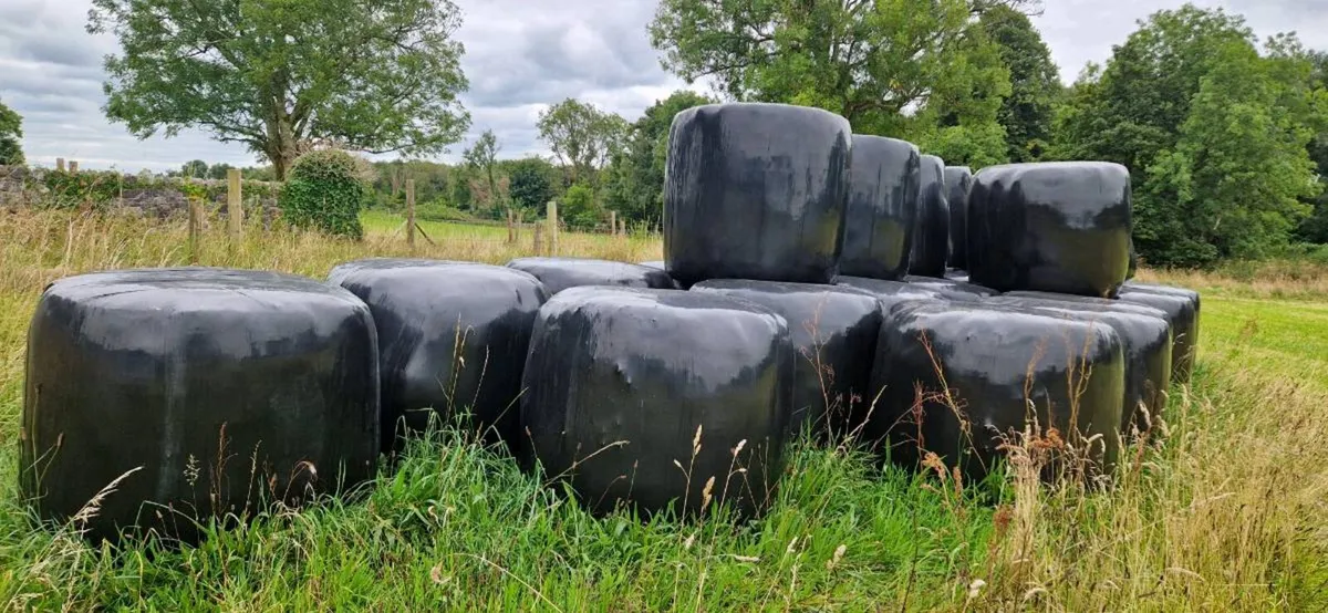 Bales of silage - Image 4