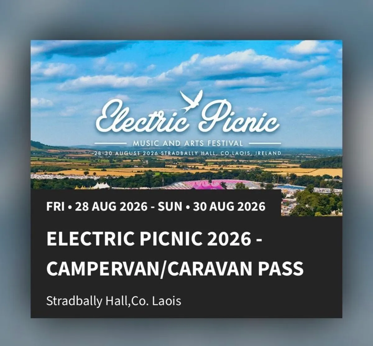 Electric Picnic Campervan / Caravan Pass - Image 2