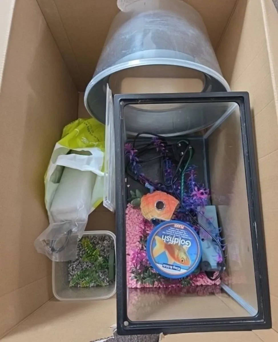 Fish tank and accessories - Image 1