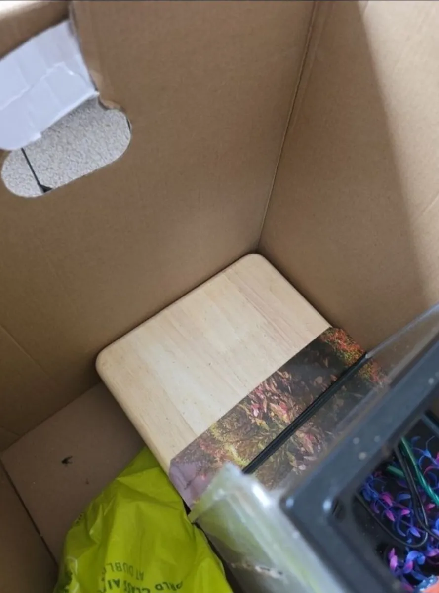 Fish tank and accessories - Image 2