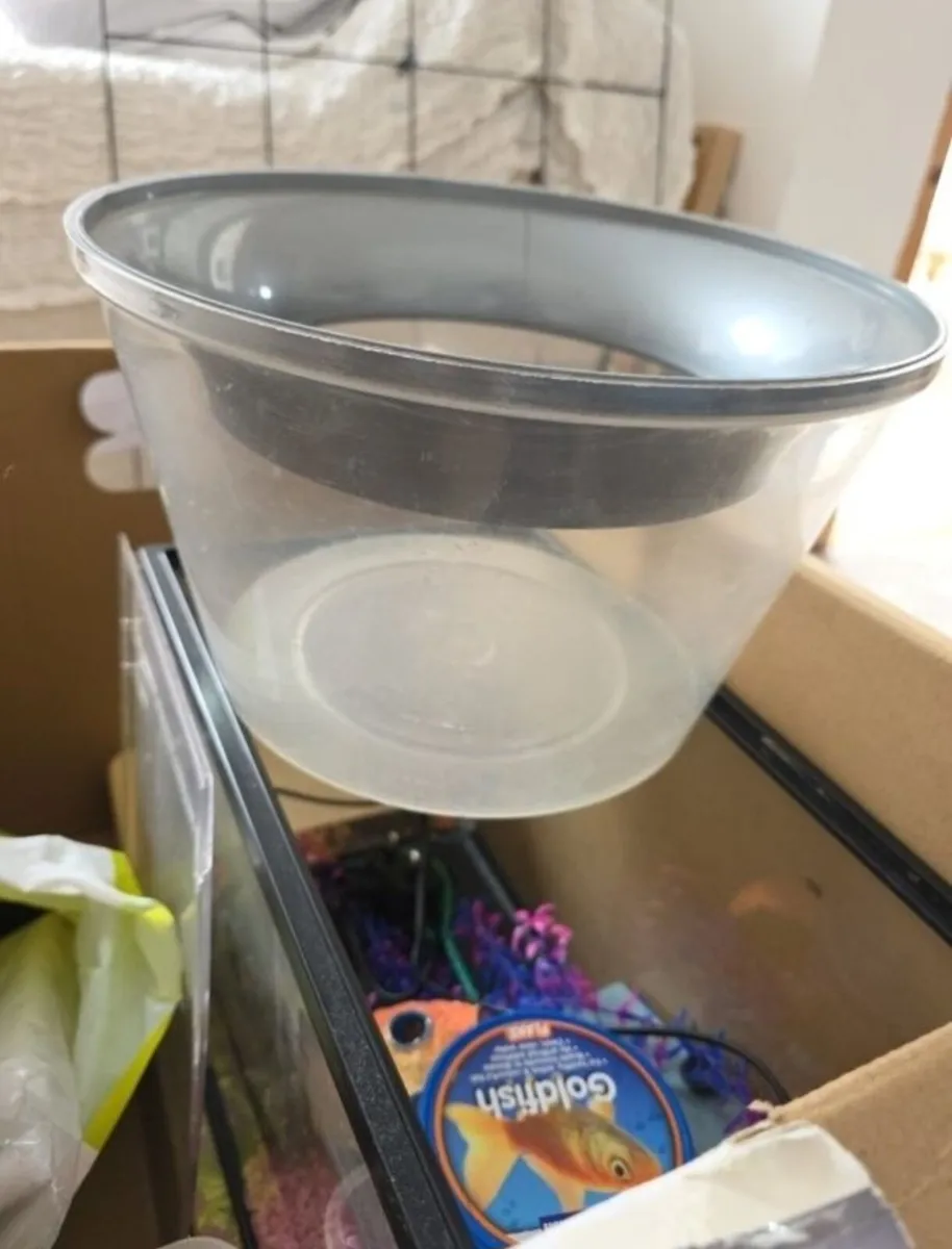 Fish tank and accessories - Image 3
