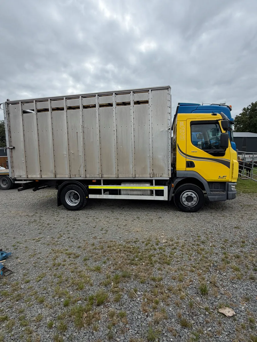 Daf cattle lorry - Image 1