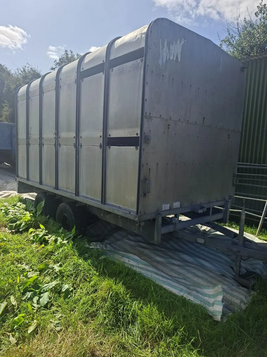 IforWilliam Cattle and Flat Trailer 12 ft 6x6 - Image 2
