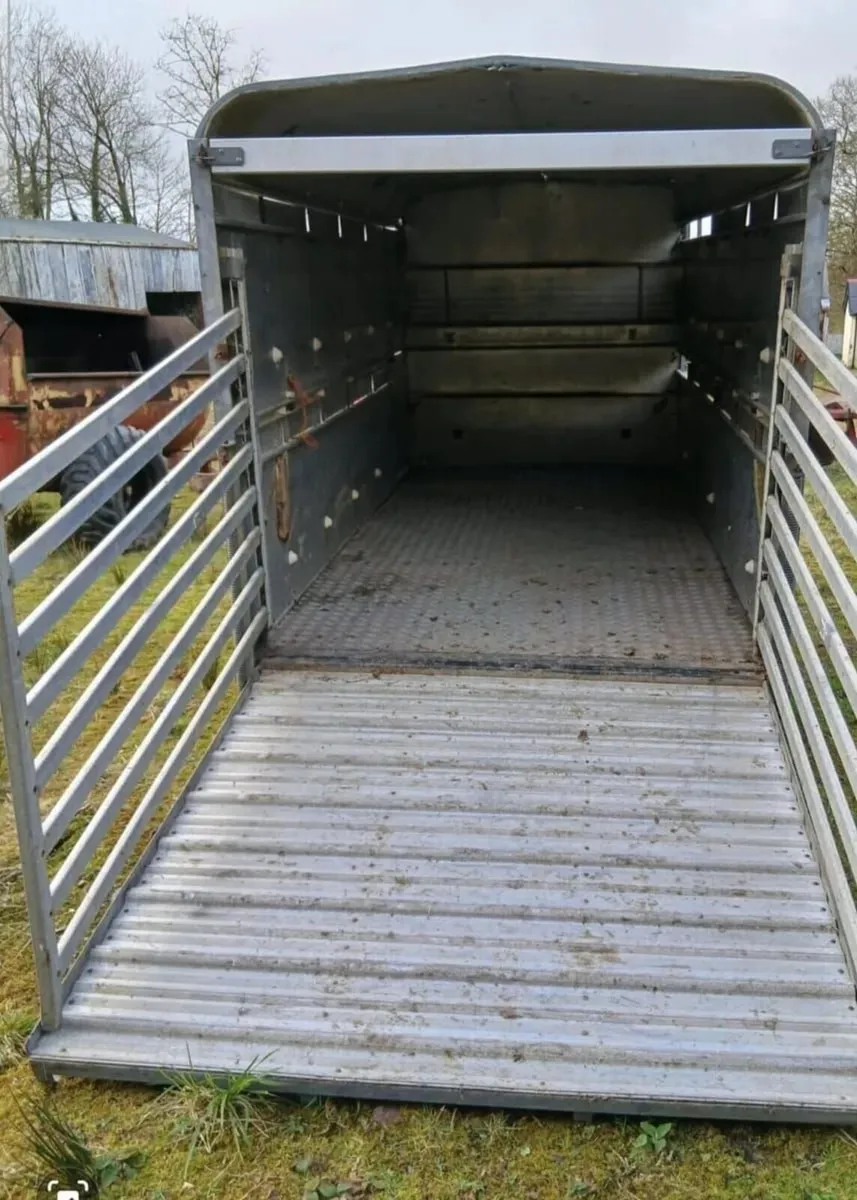 IforWilliam Cattle and Flat Trailer 12 ft 6x6 - Image 3