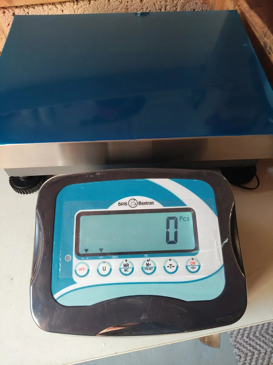 New industrial weighing scales - Image 2