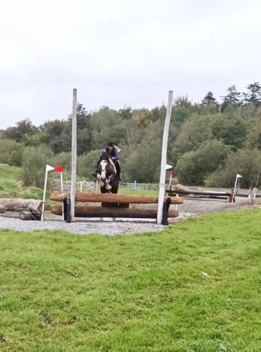 Perfect Allrounder - Image 1