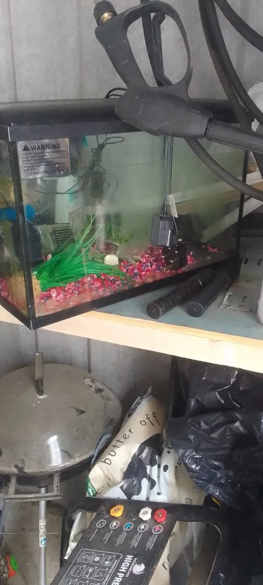 Fish tank