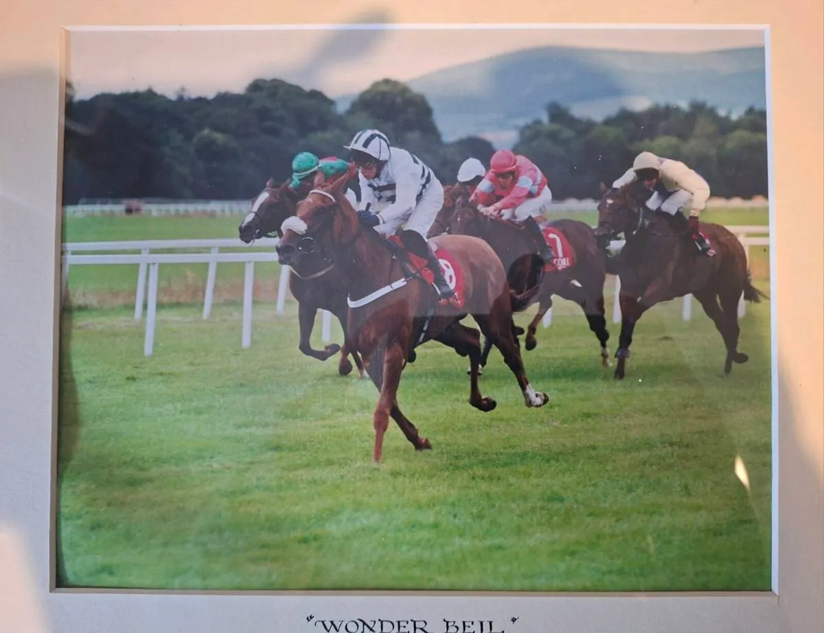 Framed Horse Racing Memorabilia - Image 2