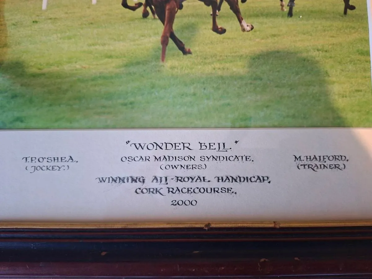 Framed Horse Racing Memorabilia - Image 3