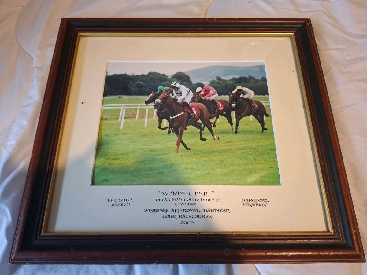 Framed Horse Racing Memorabilia - Image 4