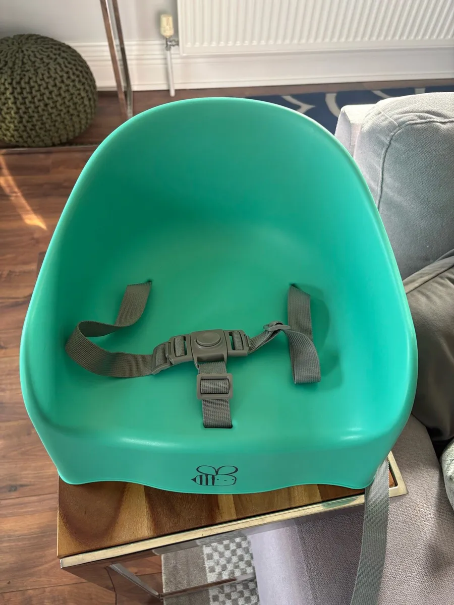 Childs Booster Chair - Image 1