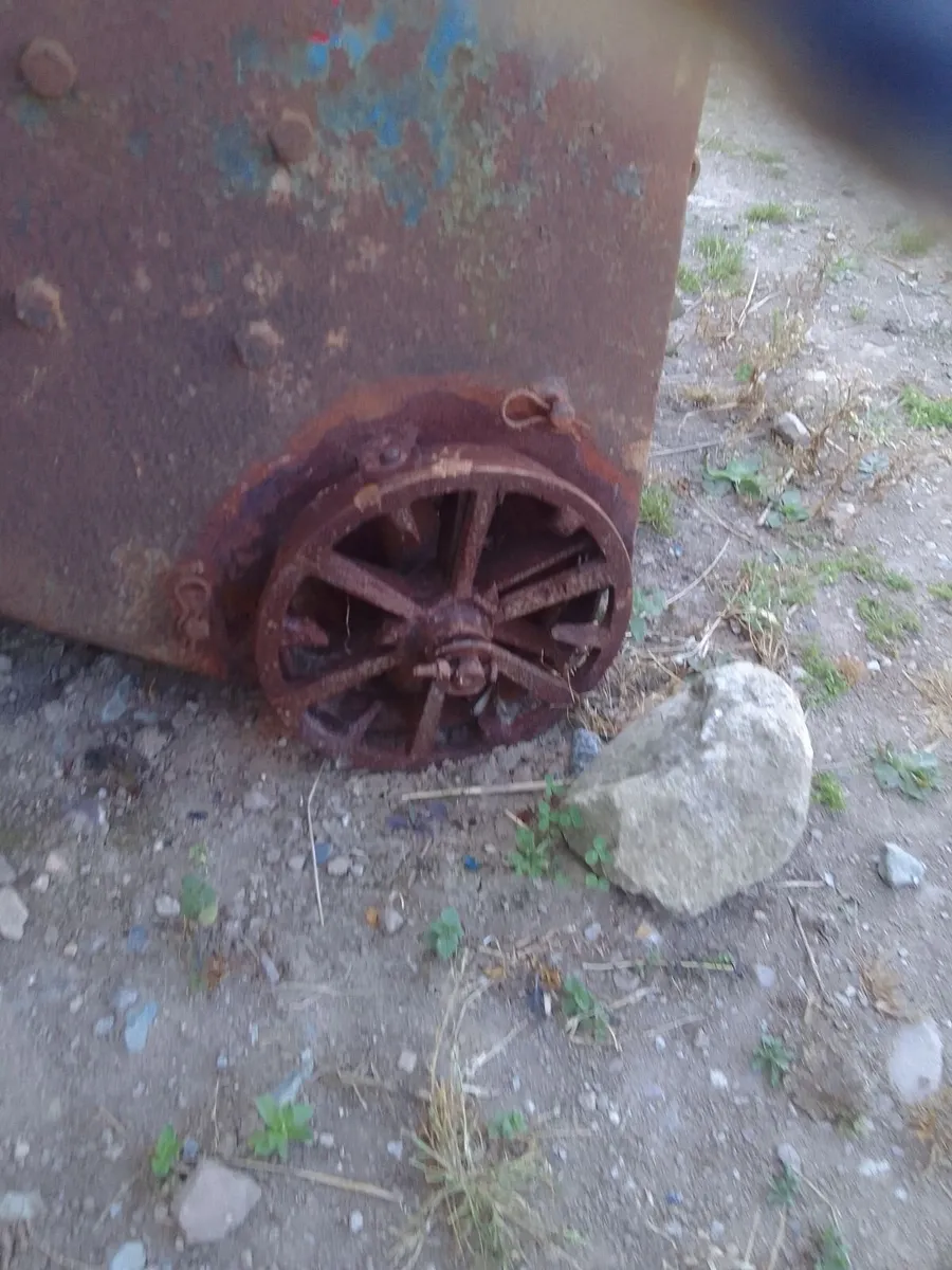 Tanco beet chopper - Image 2