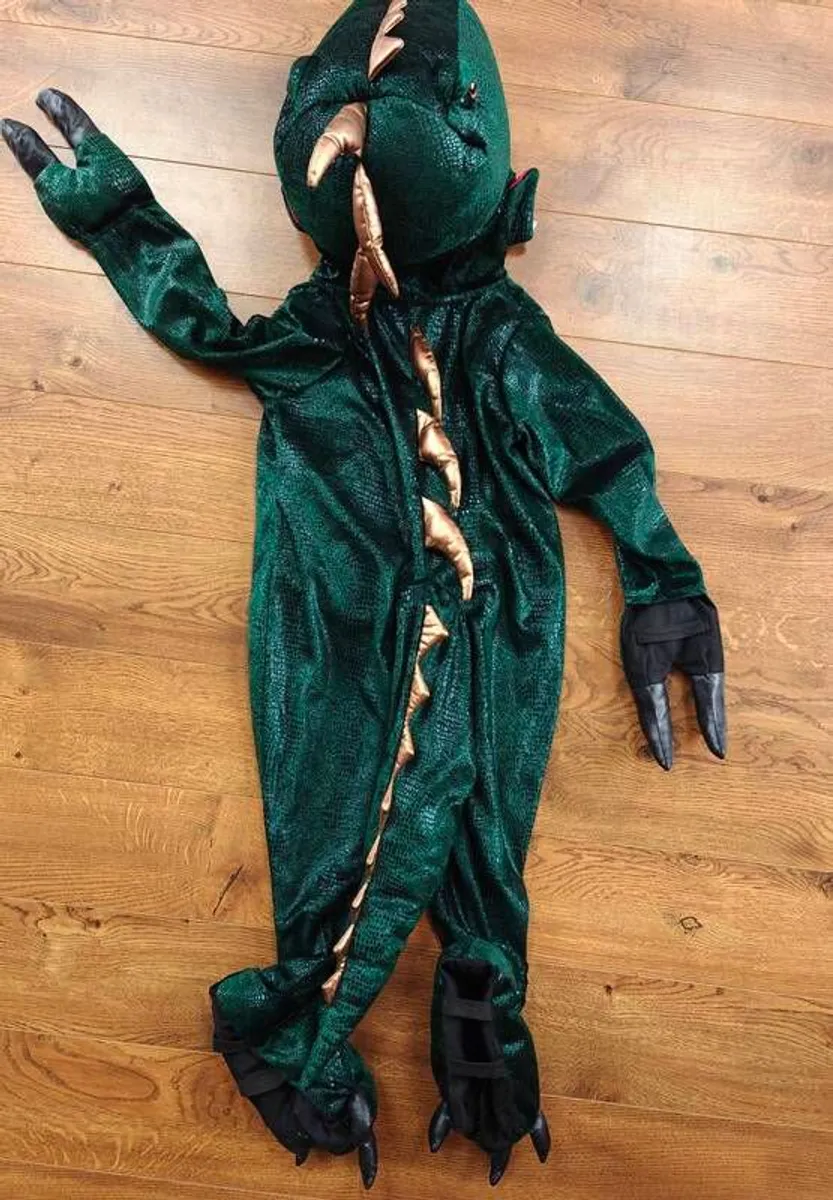 Dinosaur costume, age 3-4 - Image 2