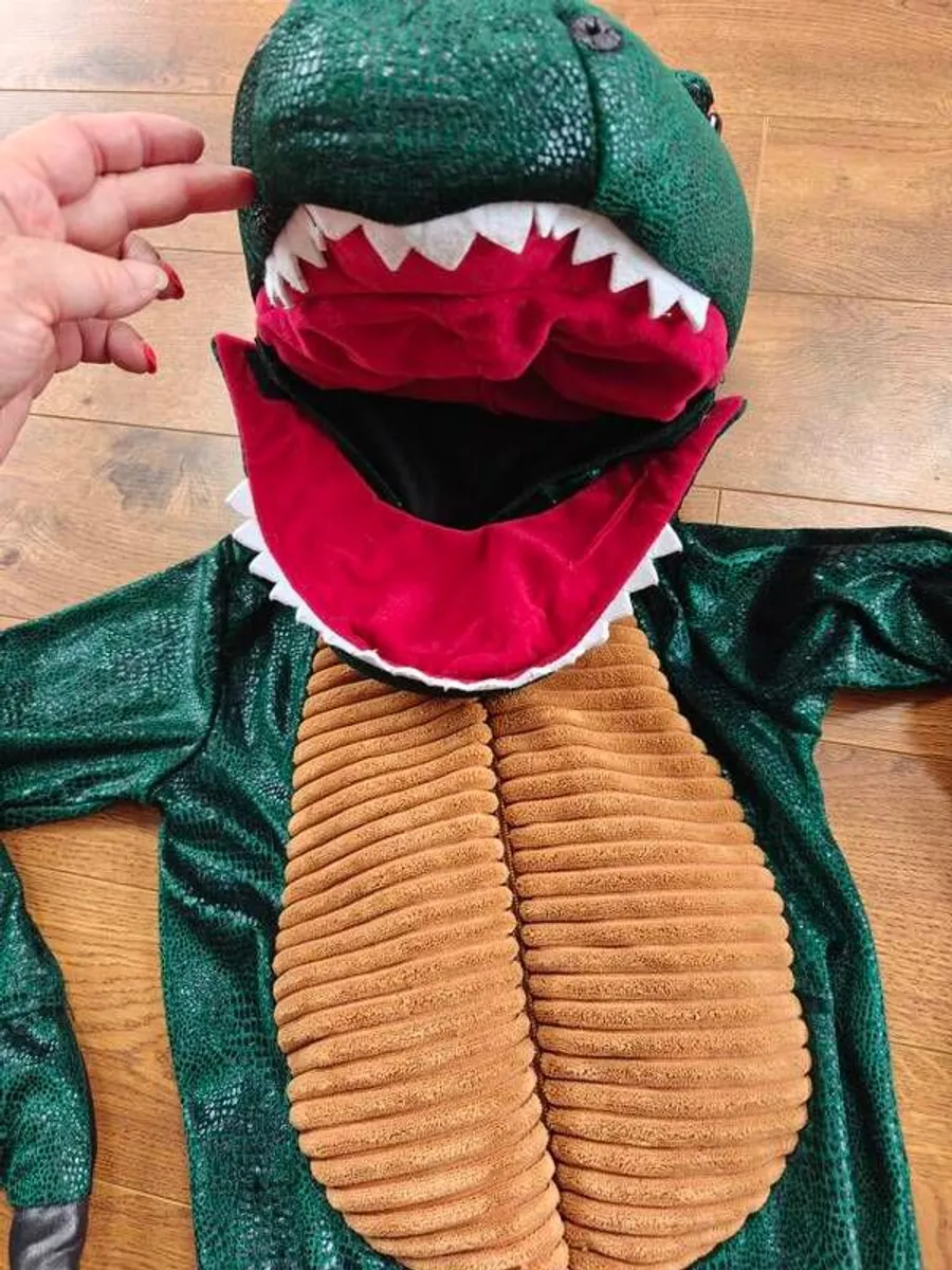 Dinosaur costume, age 3-4 - Image 3