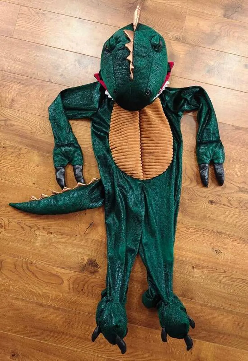 Dinosaur costume, age 3-4 - Image 1