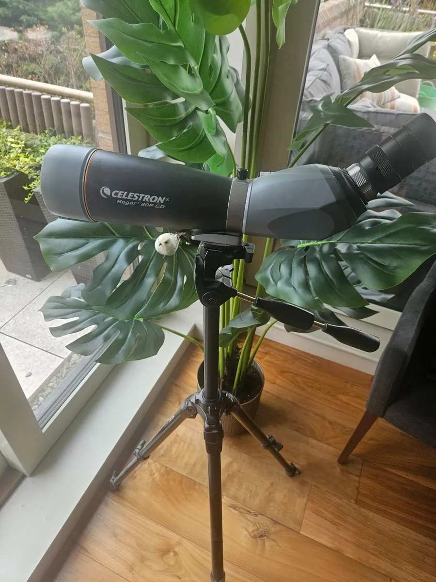 Telescope - Image 1