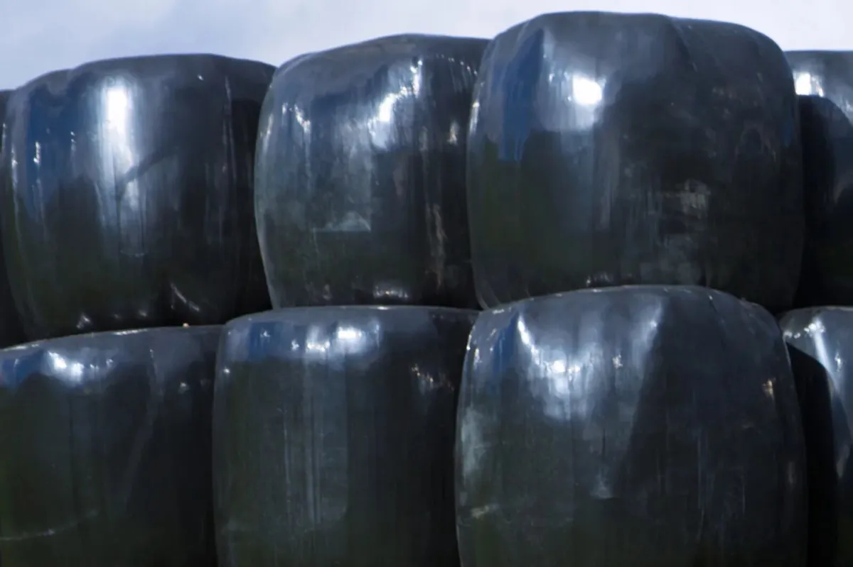 Silage bales