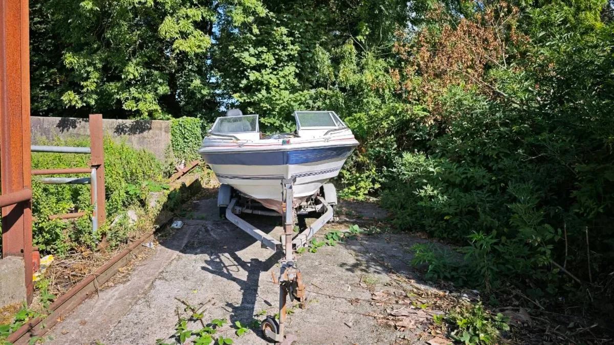 Bayliner boat 🚢 - Image 1