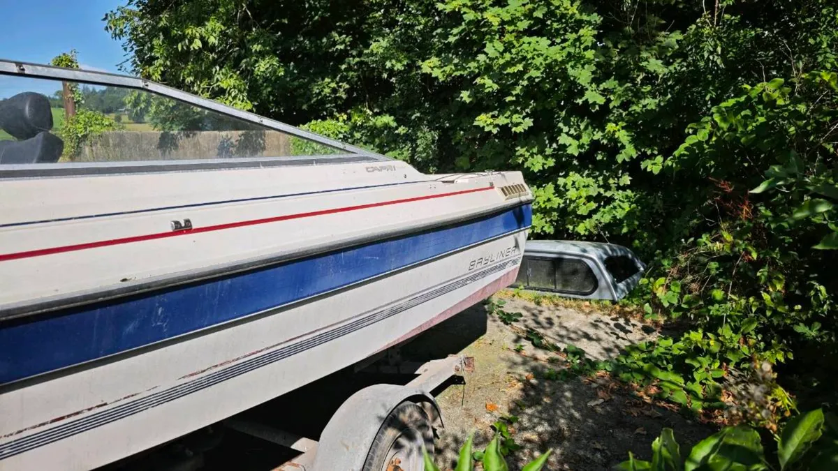 Bayliner boat 🚢 - Image 2