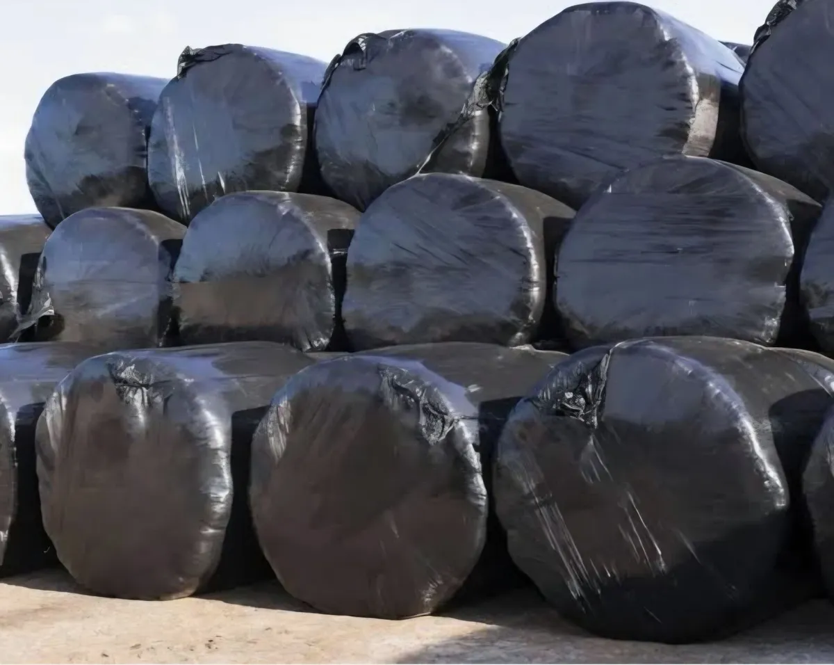 Round bales of silage