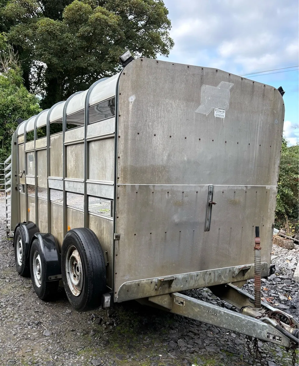 Ifor Williams cattle trailer - Image 2