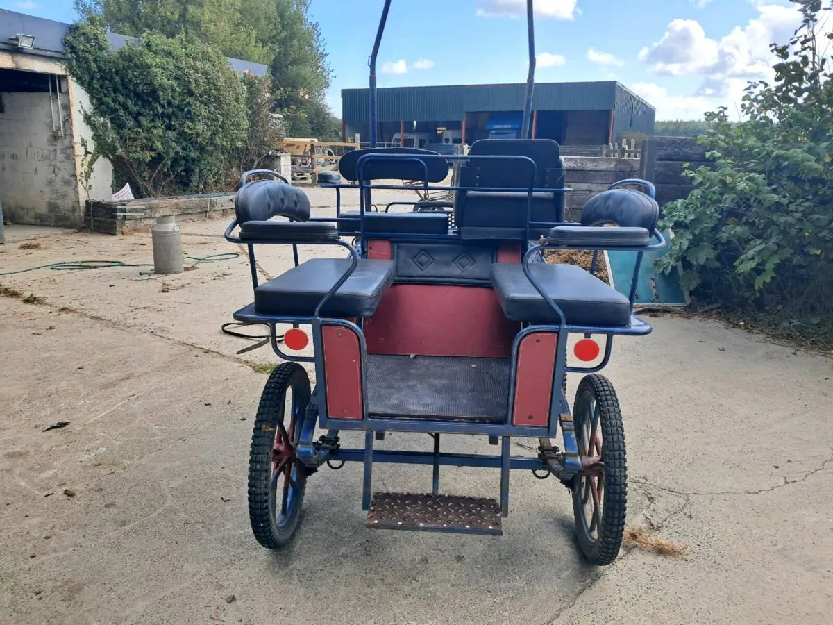Dutch carriage - Image 1