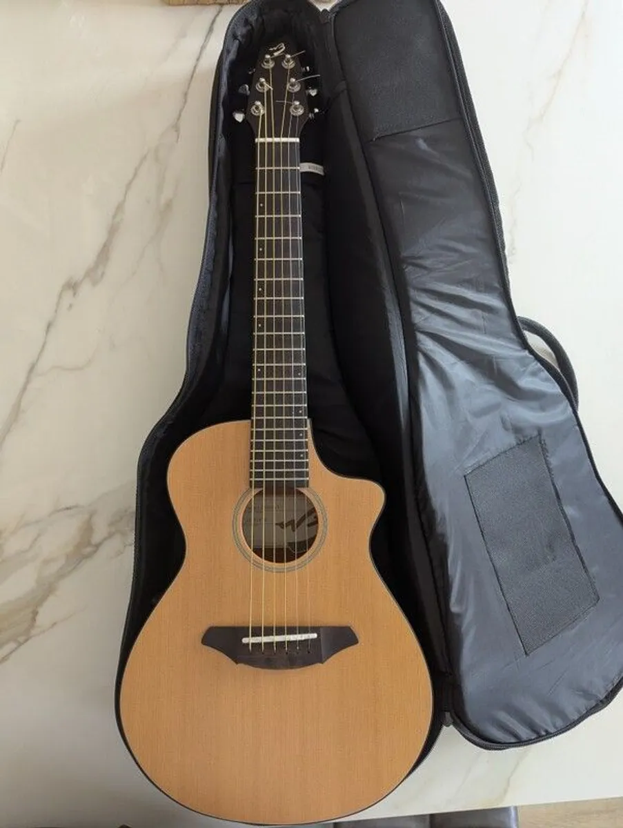 Breedlove Passport C250/CMe-T - Image 1