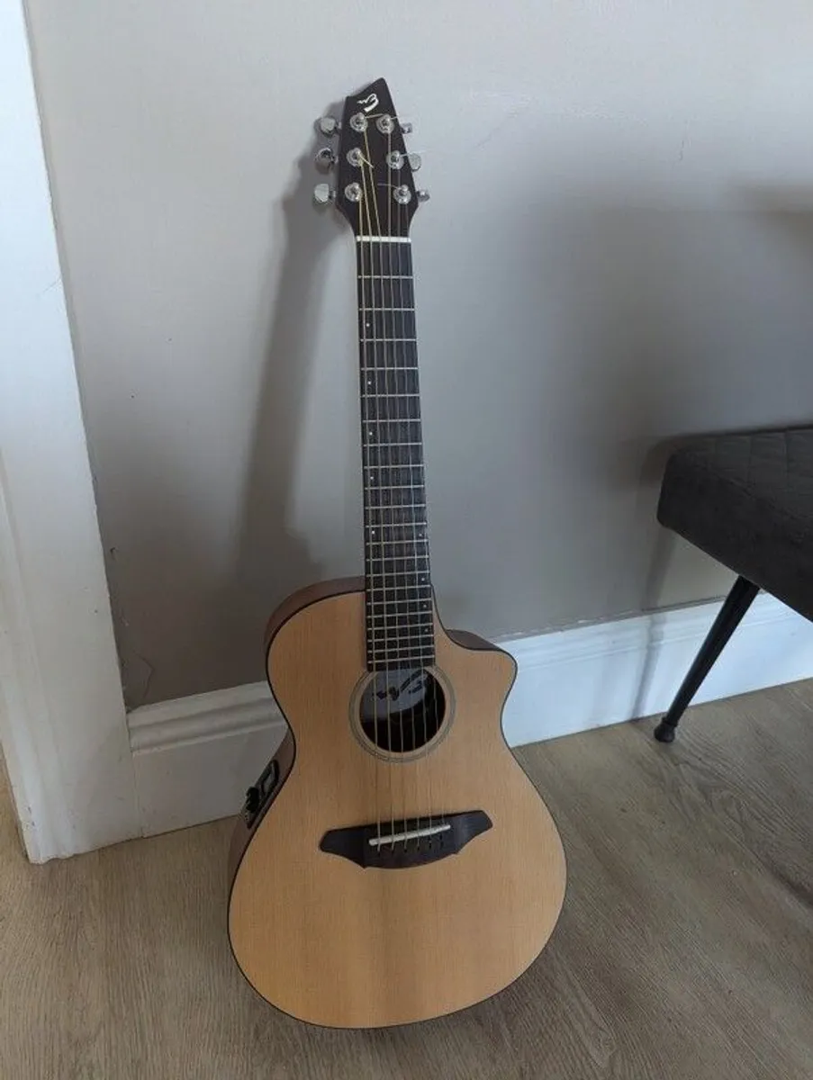 Breedlove Passport C250/CMe-T - Image 2