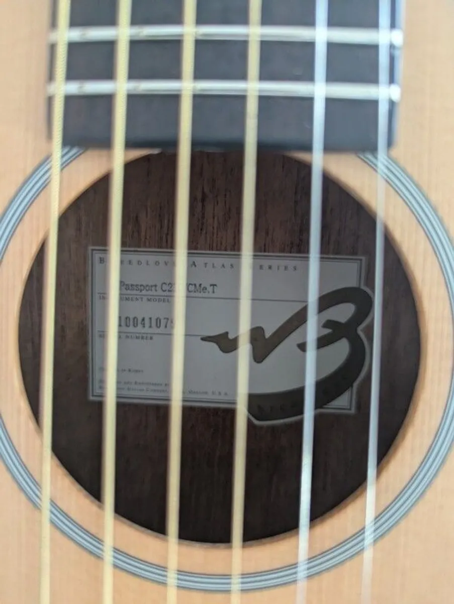 Breedlove Passport C250/CMe-T - Image 3
