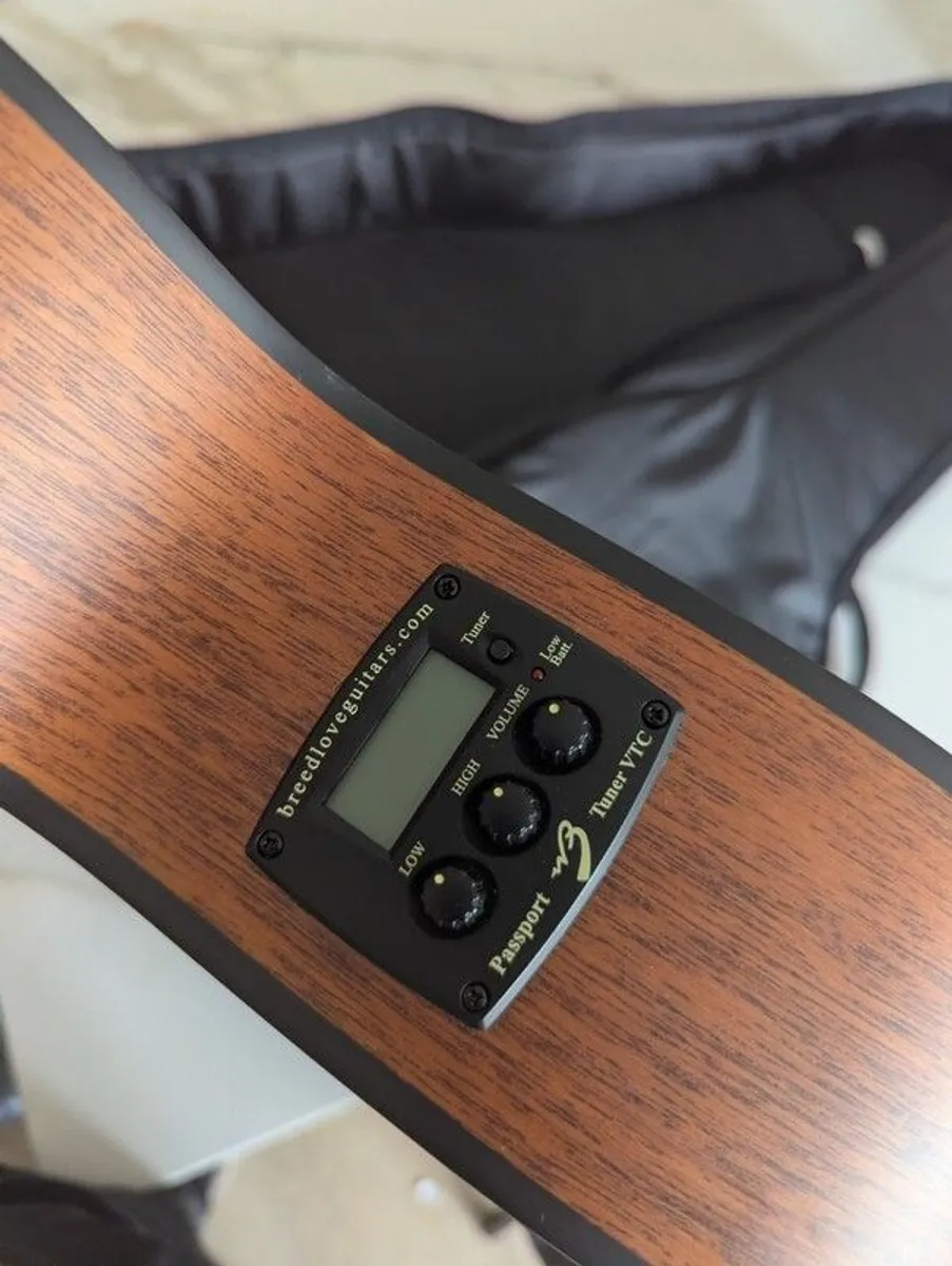 Breedlove Passport C250/CMe-T - Image 4