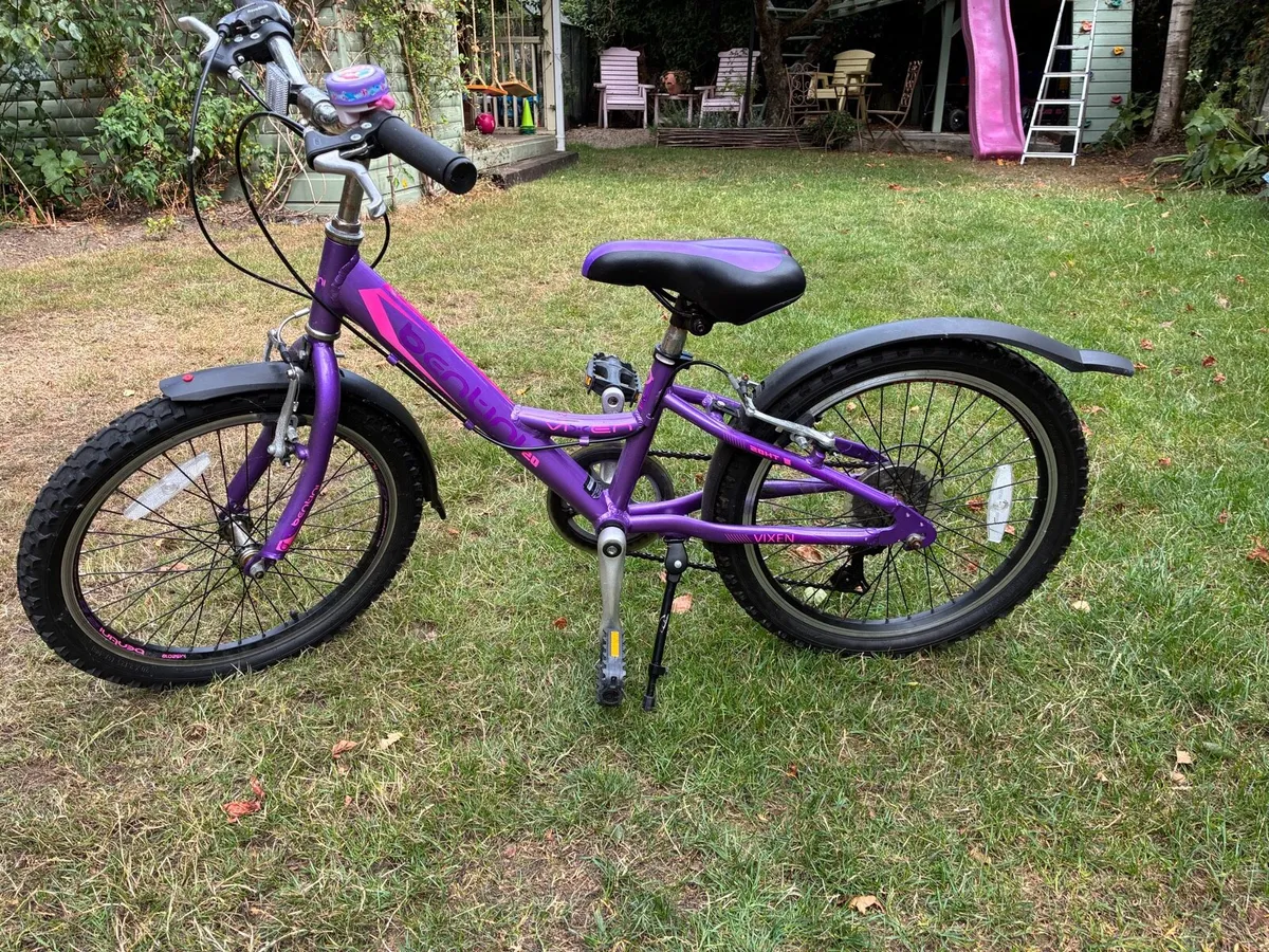 Bike - Image 1