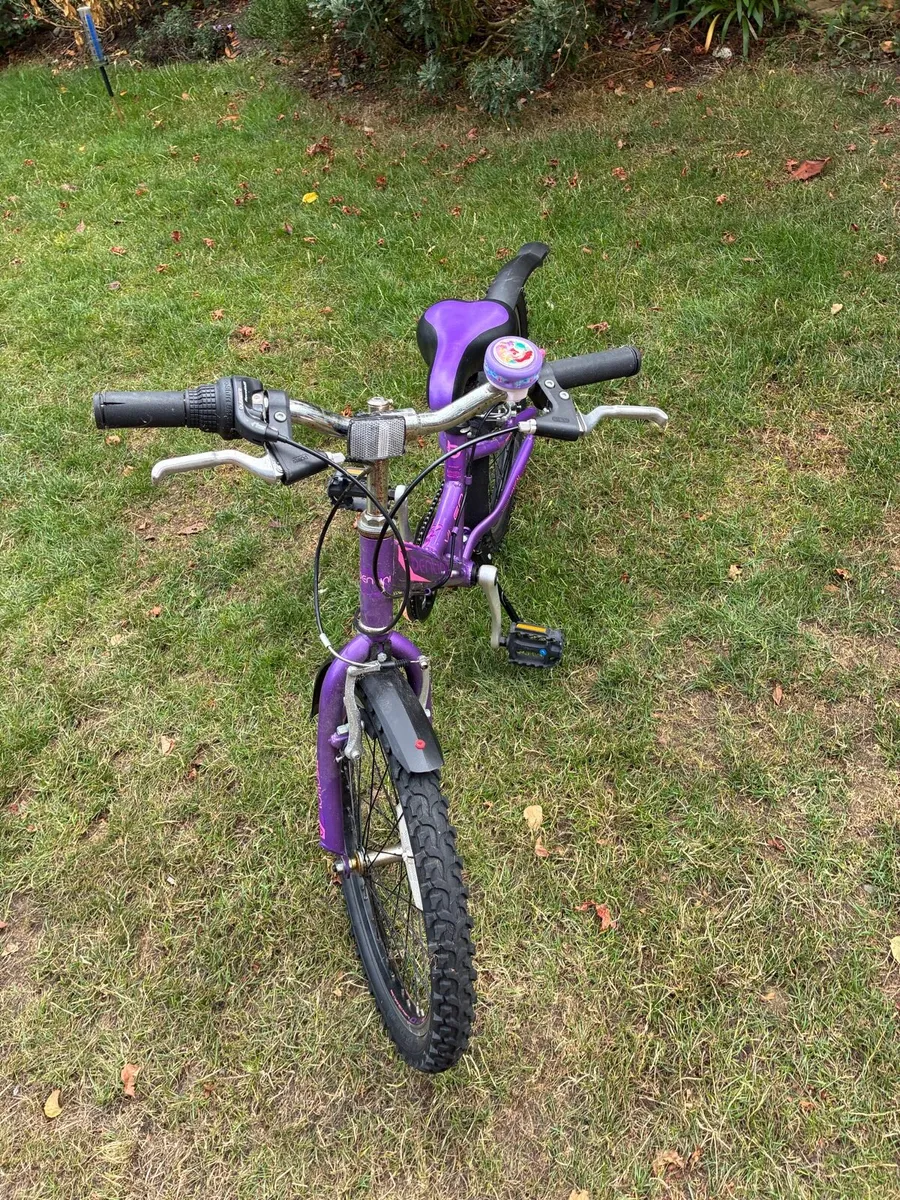 Bike - Image 4