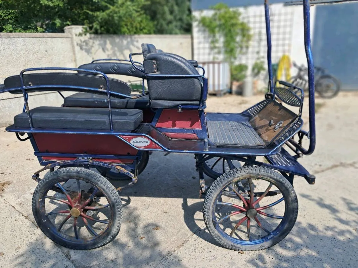 Dutch carriage - Image 3