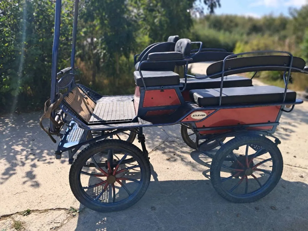 Dutch carriage - Image 4