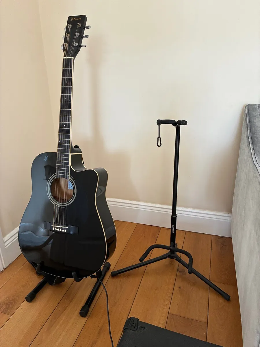 Electro Acoustic Guitar, Amp & Accessories - Image 3